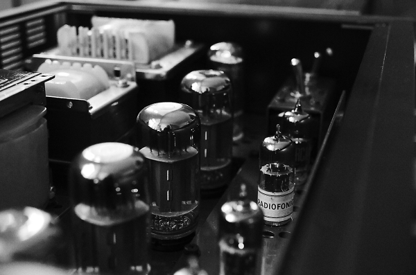 Top-view of Leben CS-600 Tube Amplifier ~