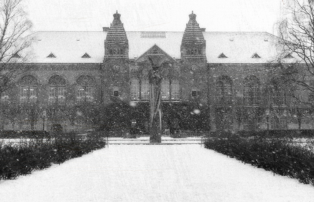 Garden of the Royal Danish Library, Copenhagen, Winter 2023