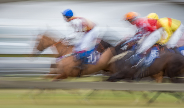 Afternoon at the races