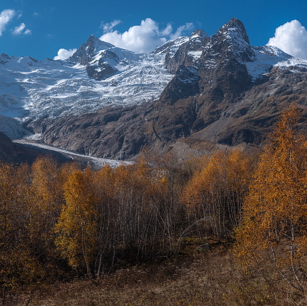 CAUCASIAN AUTUMN