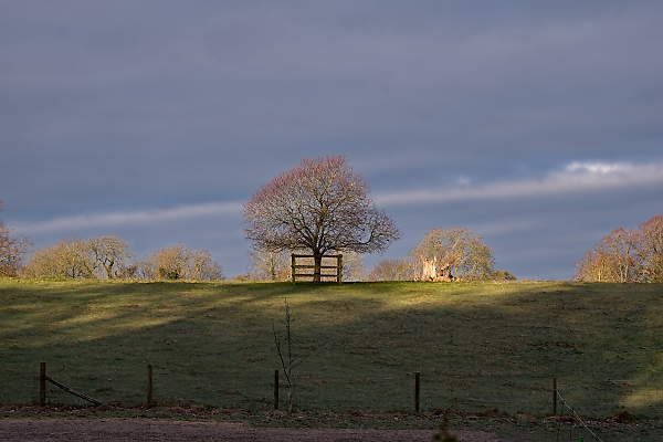 January morning