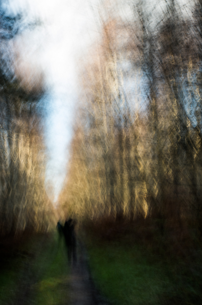 Winter Walk