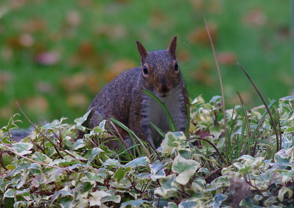 'I Can See You'