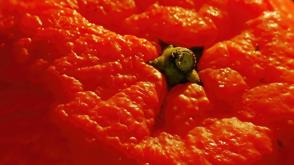 Orange skin