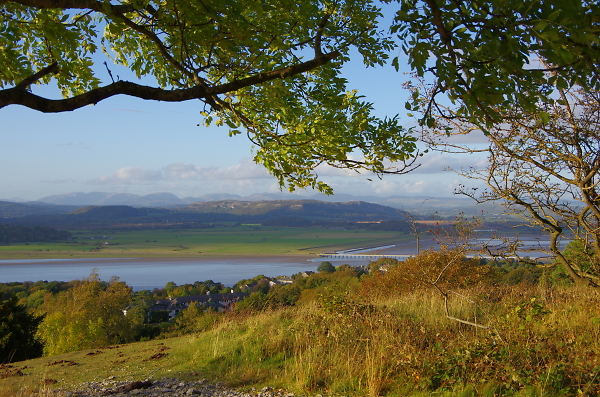 View from Arnside Knott