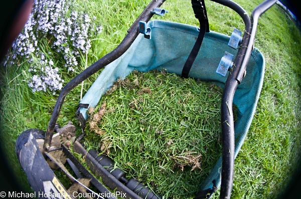 Inside the lawnmower grass BOX