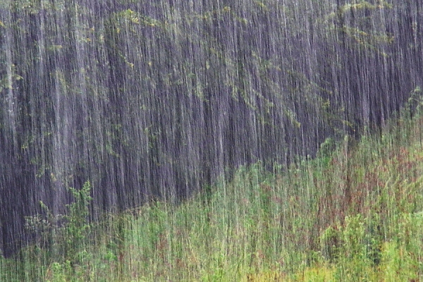 Rain