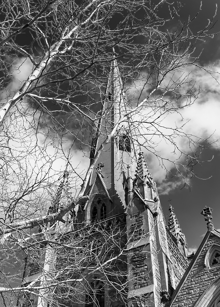 Tree and Church