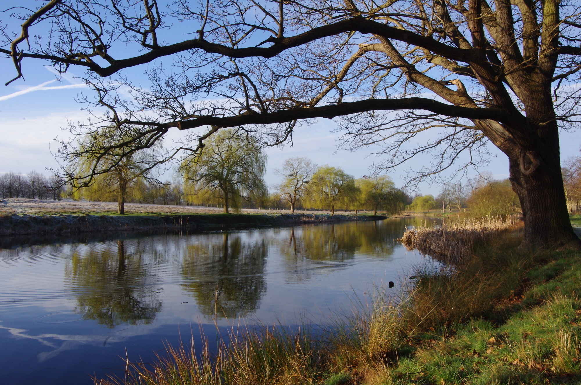 Hampton Wick Pond