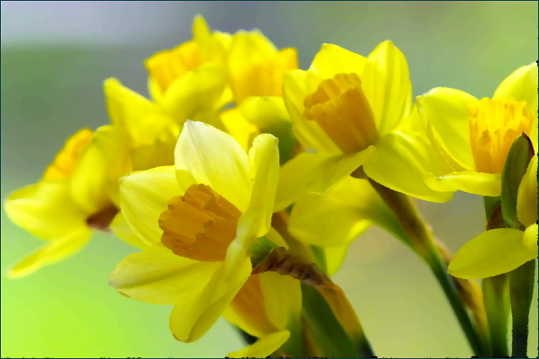 Happy Easter!