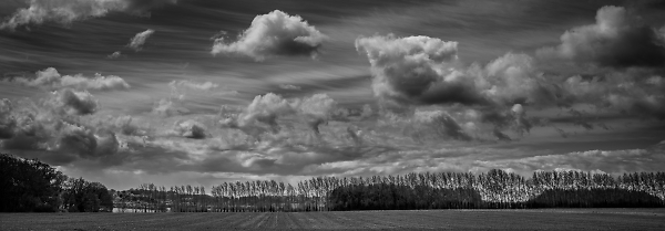 Leckford Landscape