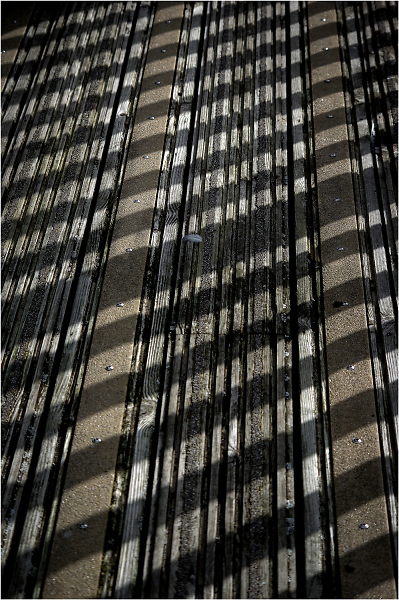 Light and Shade