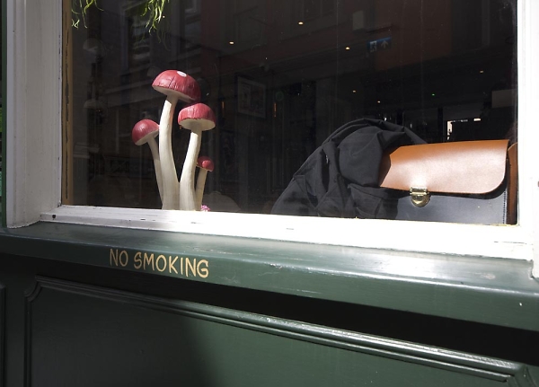 No Smoking....mushrooms?