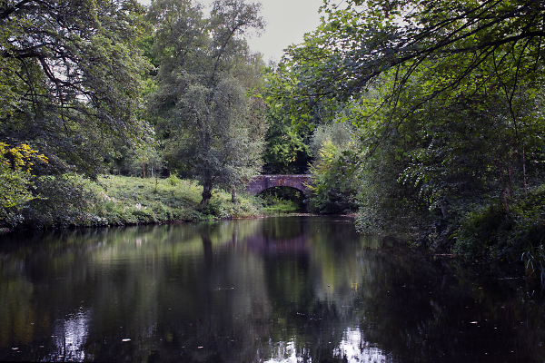 The Bridge