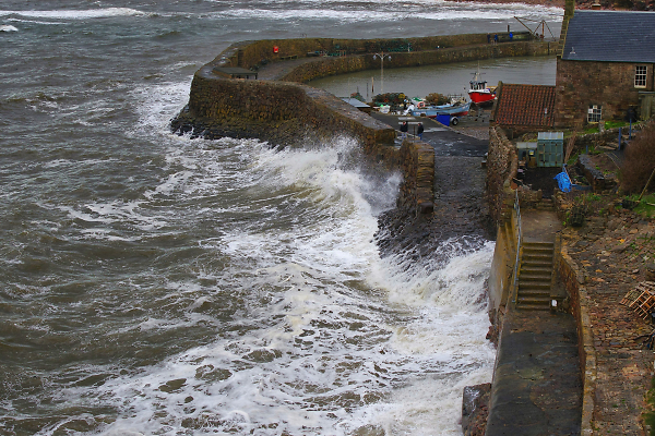 THE HARBOUR AT CRAIL