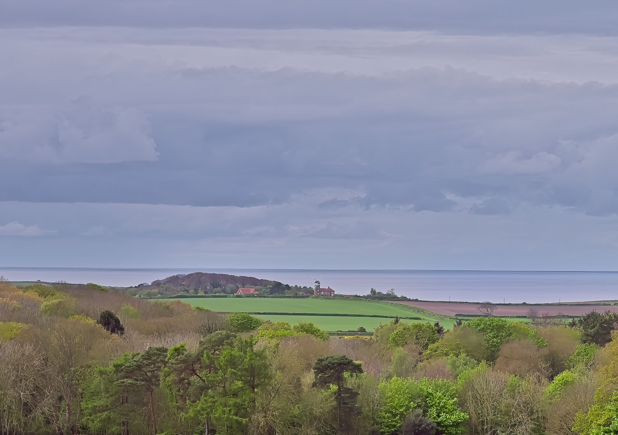Weybourne Windmill seen from Sherringham Park