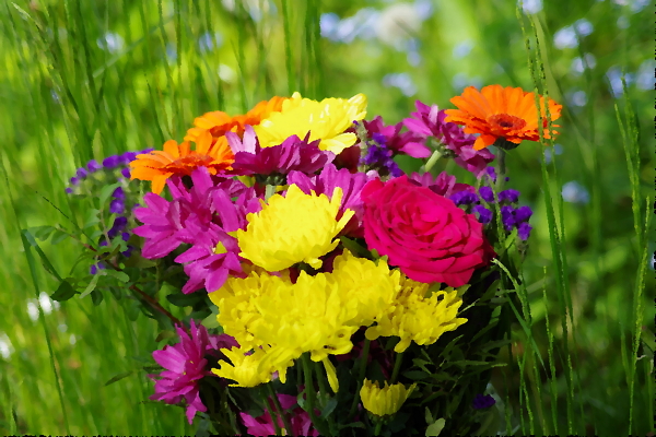 A Floral Mix
