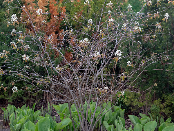 Can you spot the birdie?