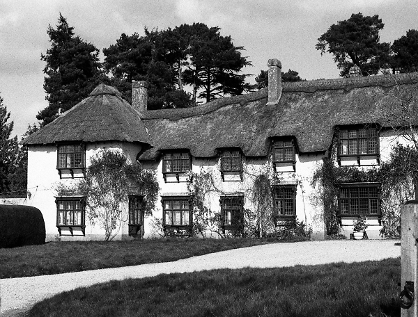 Devon 'Long' Longhouse