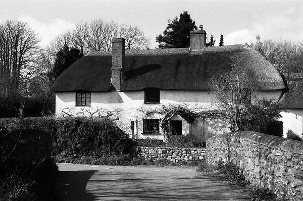 Devon Longhouse