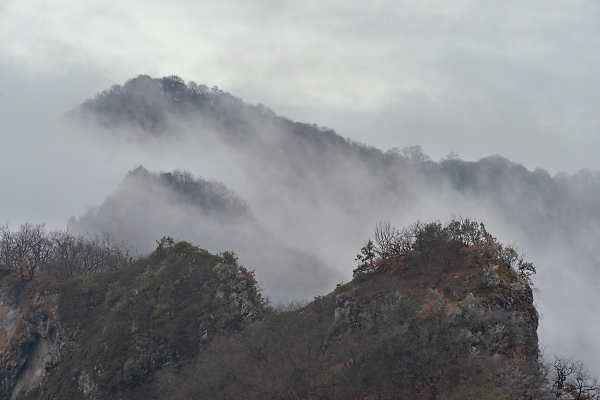 MISTY MOUNTAINS