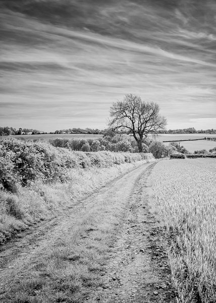 Out in the countryside.