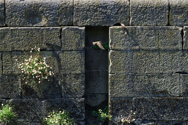 Sand Martins Abode