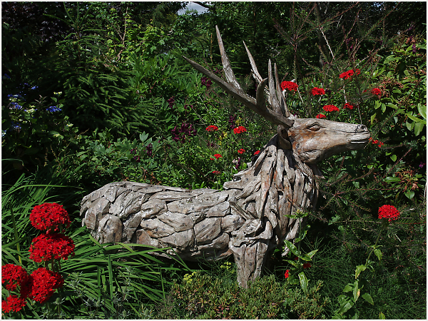 Stag in Wood