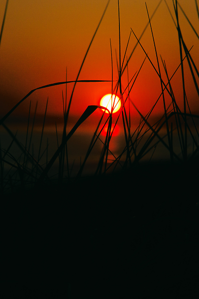 Sundown in the Dunes