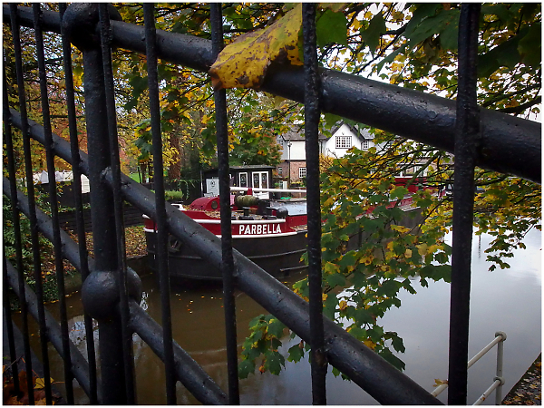 Through a metal railing