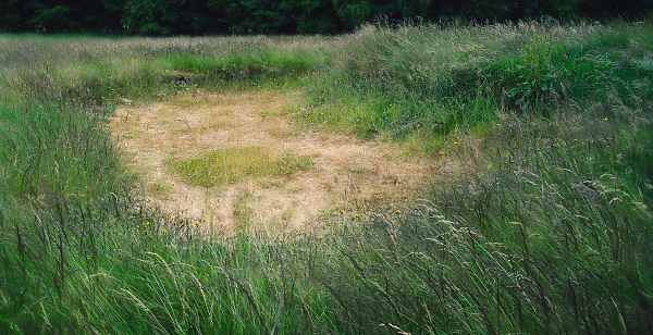 Forgotten Bunker