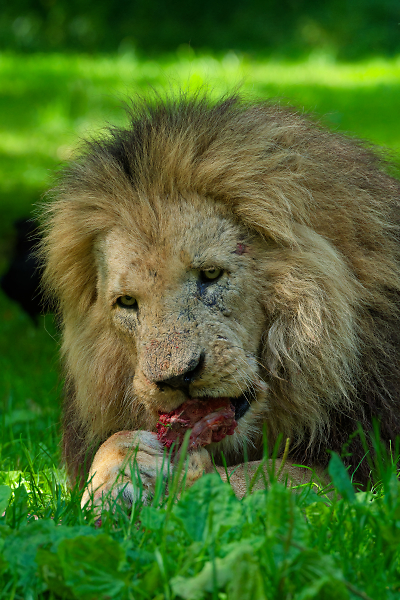 Lunch time