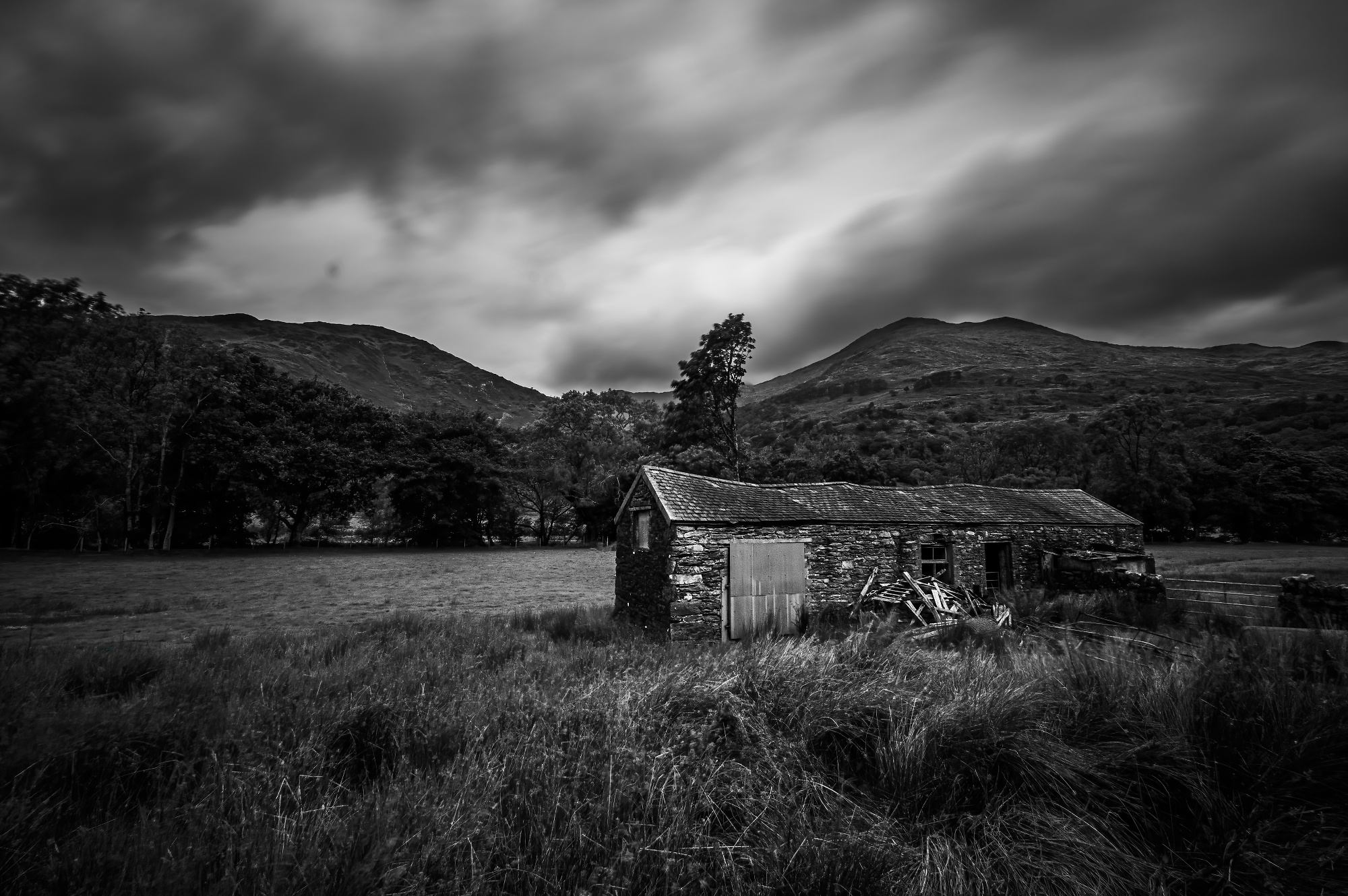 Wedi'u gadael yn y pas