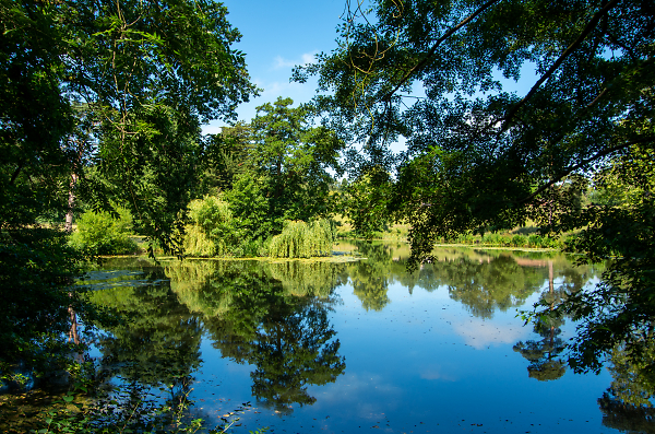 The Lake