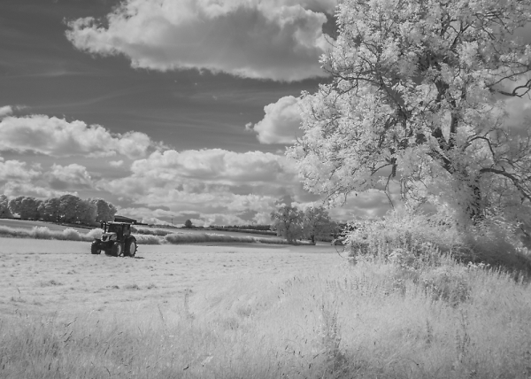 Working-the-fields.