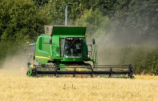 Harvest time - a family affair