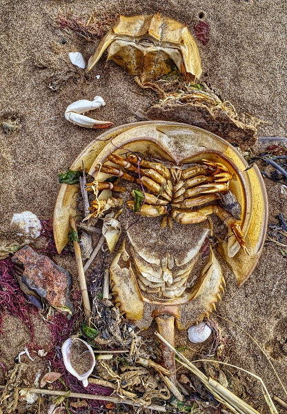 On the beach with the Ricoh GR lll