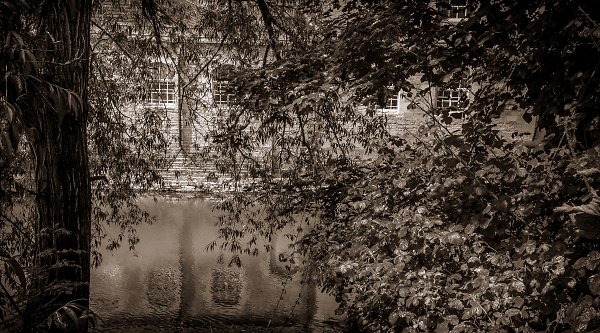 Sepia Serenity
