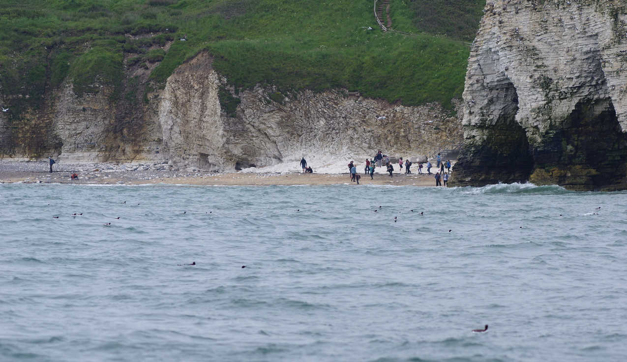 Flamborough Head v3