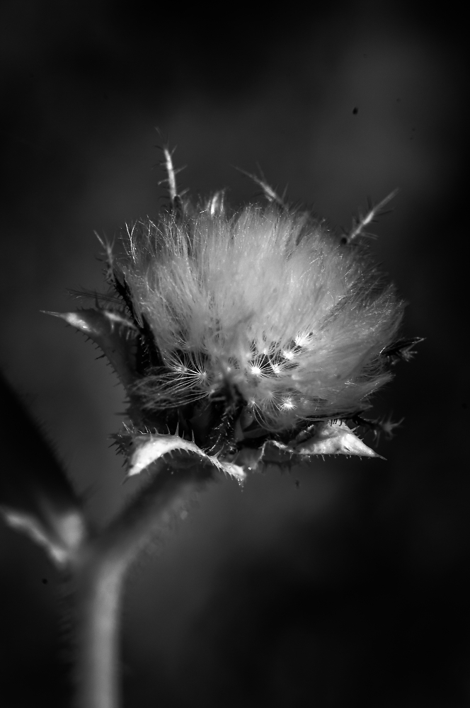 IR Experimentation again