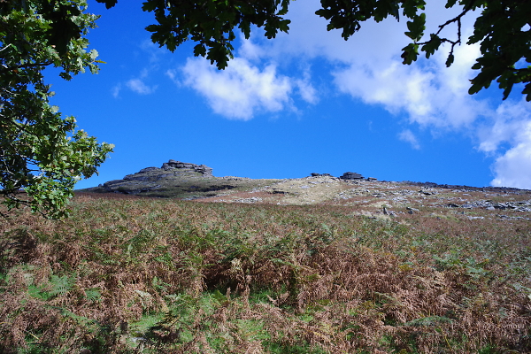 Black Tor