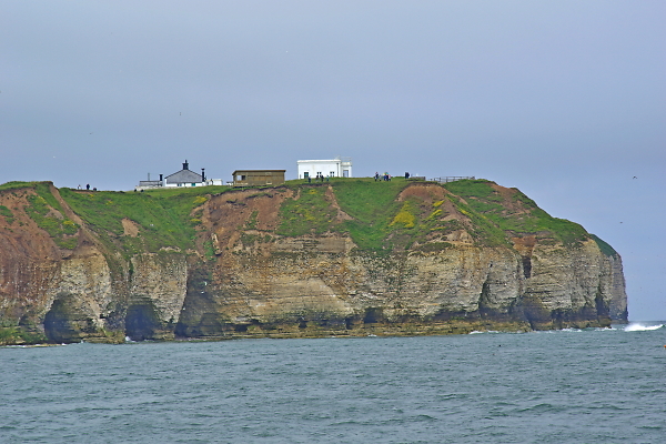 Flamborough Head