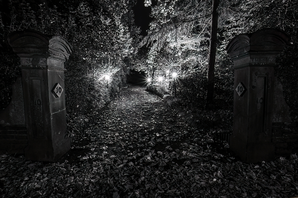 Gateway to a Garden