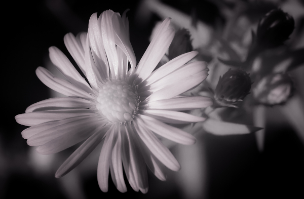 IR Experimentation