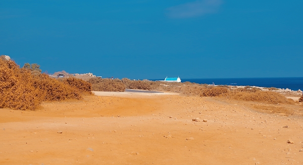 Midday Landscape