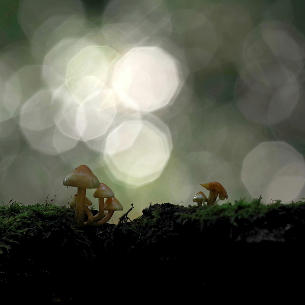 On a journey