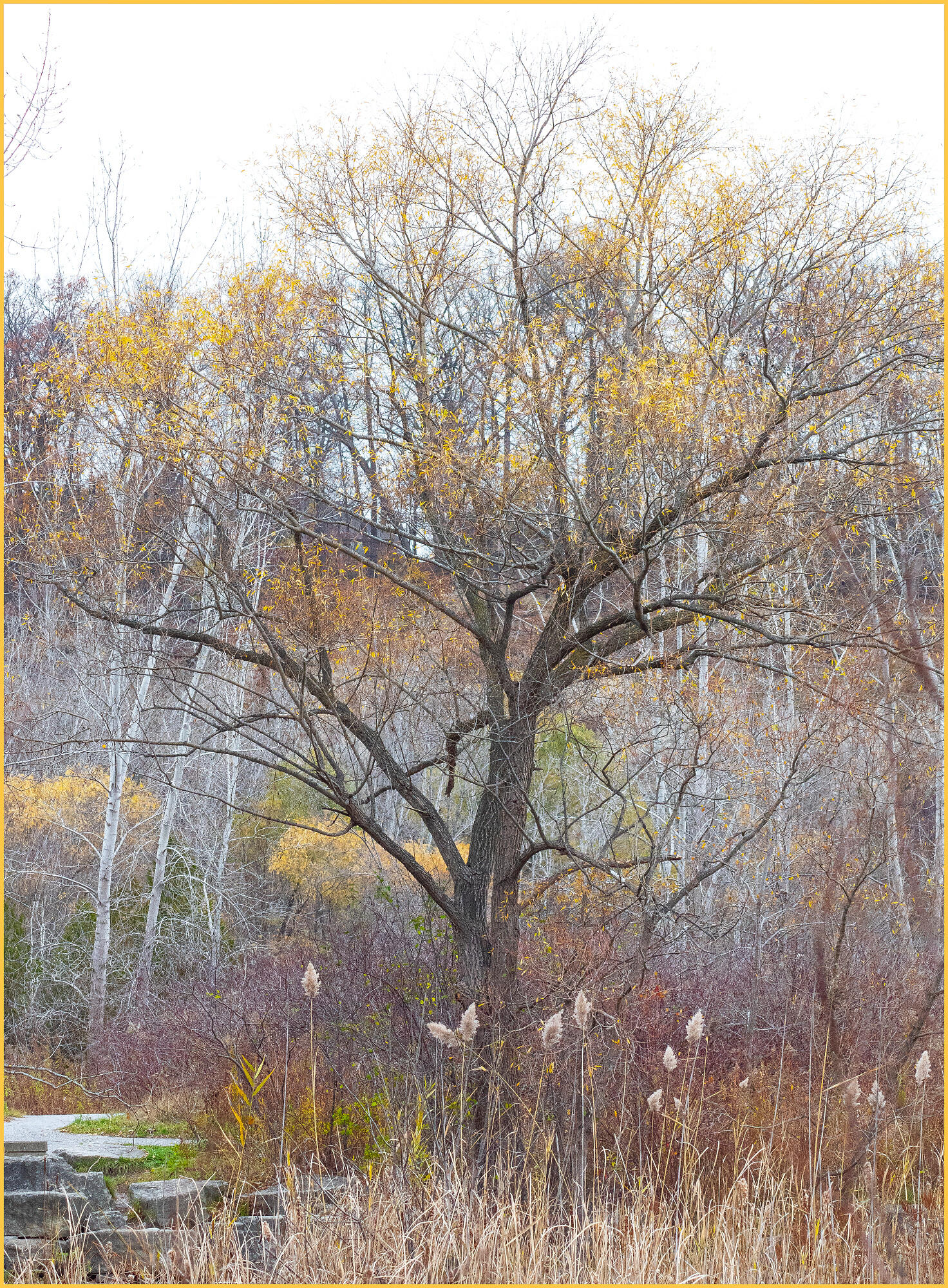 Last Gasp of Fall