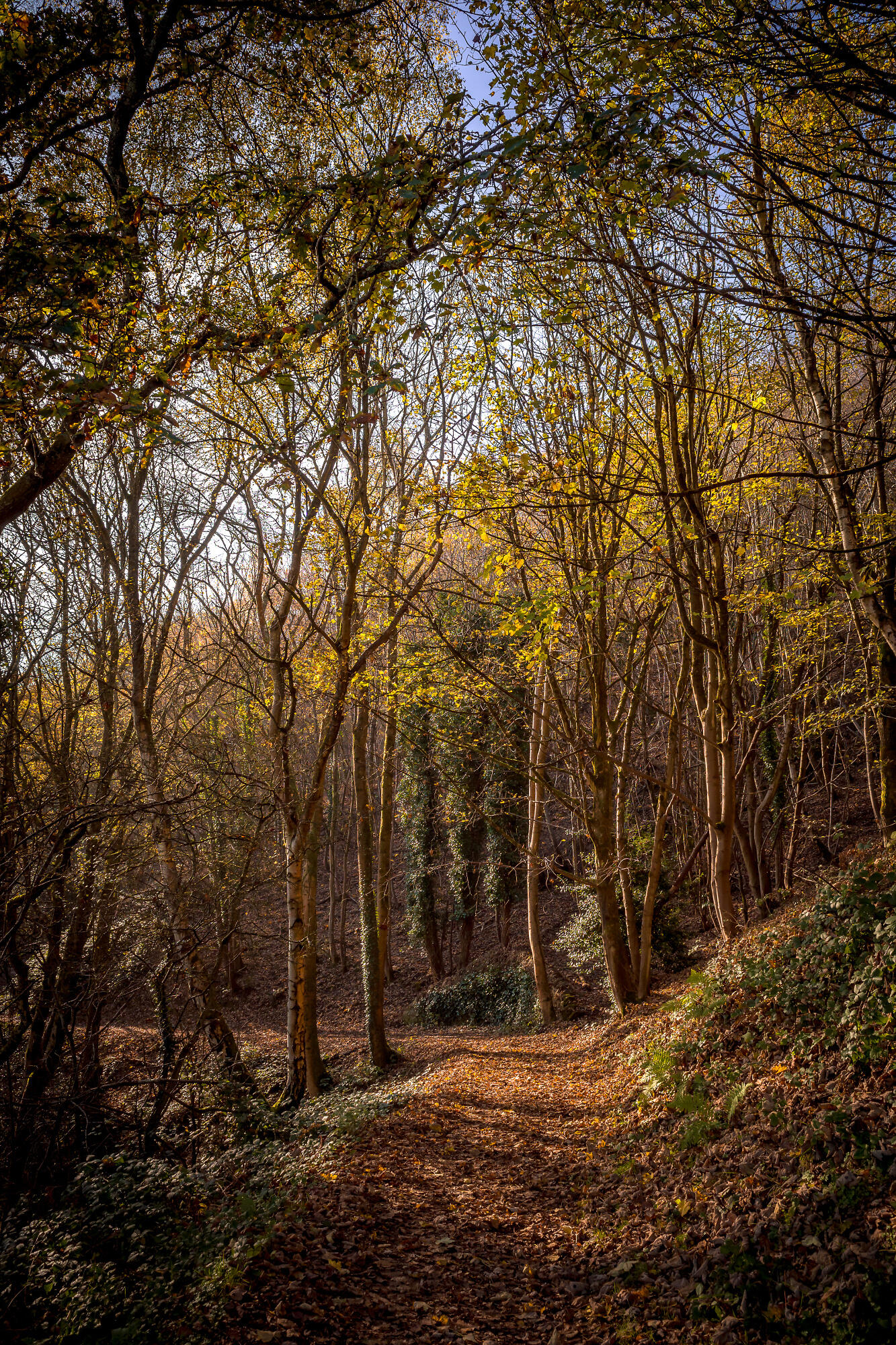 Winding path