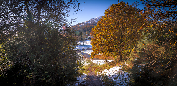 As the snow recedes
