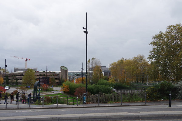 Autumn (with lonely crane)